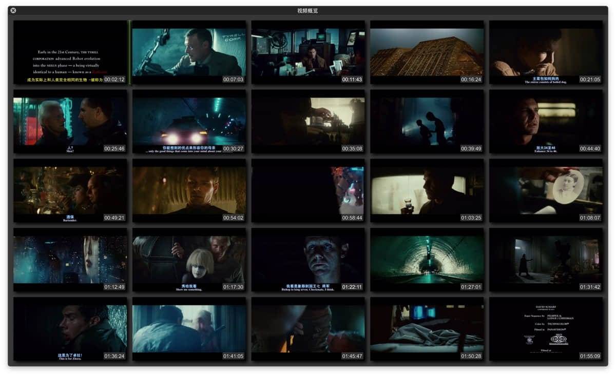 LionPlayer：首個(gè)支持視頻節(jié)點(diǎn)概覽的 macOS 視頻播放軟件