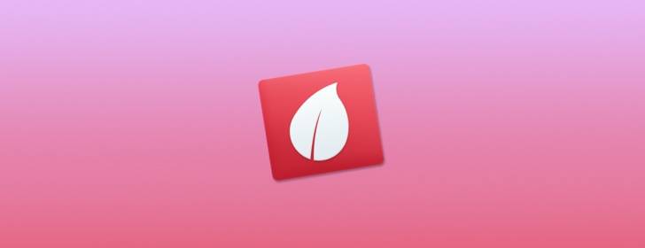 Leaf 5.0：變化不大，中庸依舊