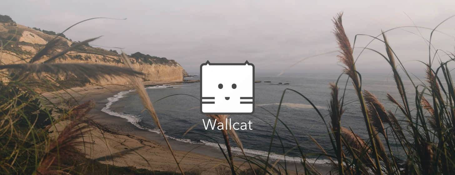 Wallcat：隨心而動的小巧壁紙軟件「macOS」