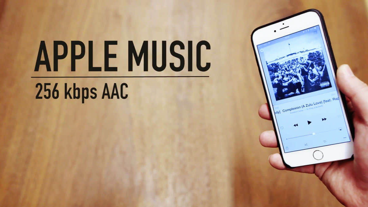 知識小蜜蜂：為什么 Apple Music 音質(zhì)聽起來比網(wǎng)易云音樂無損還好？
